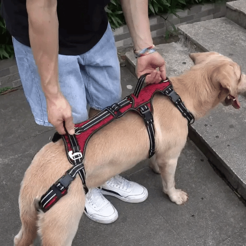 Blanketdream "Up-You-Get" Lift Harness