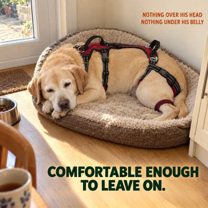 Blanketdream "Up-You-Get" Lift Harness