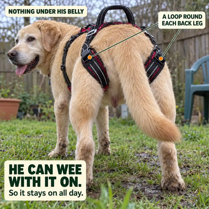 Blanketdream "Up-You-Get" Lift Harness