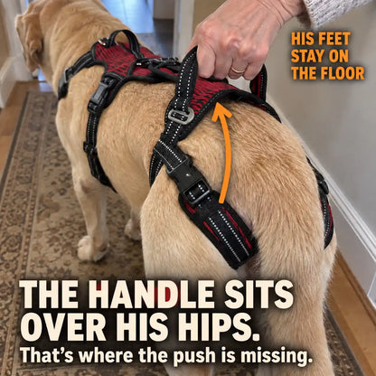 Blanketdream "Up-You-Get" Lift Harness